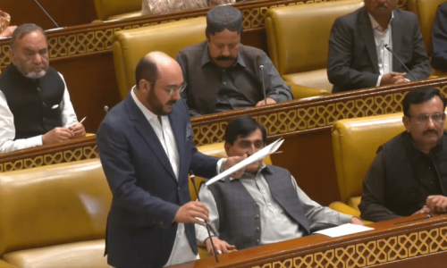 Balochistan, Punjab assemblies want Bhutto declared &lsquo;martyr&rsquo;