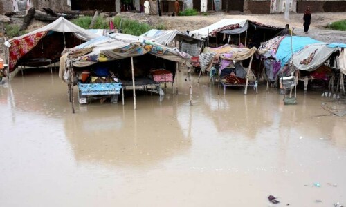 Floods, heat stress expand rural income gap by $21bn: FAO