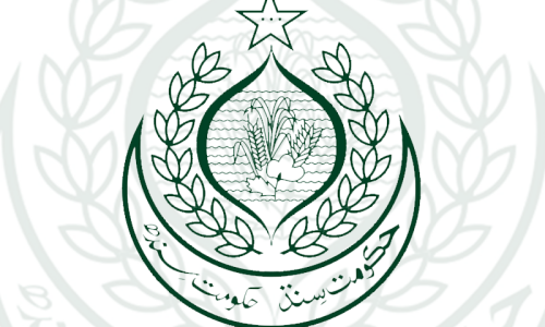 پیپلزپارٹی کی قیادت نے سندھ کابینہ کا فیصلہ کرلیا