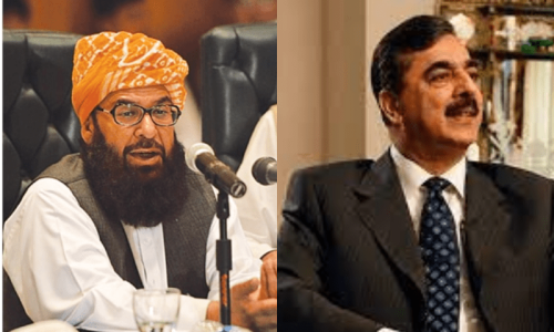 JUI-F, PPP agree on reciprocal support in Senate
