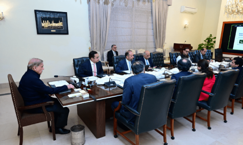 Curtain rises on five-year plan for economic revival