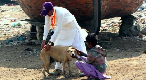 Sindh rabies control programme dogged by official apathy Sindh rabies control programme dogged by official apathy