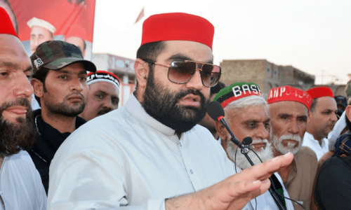 ایمل ولی خان کا سینیٹ الیکشن لڑنے کا فیصلہ