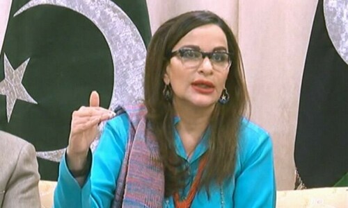 Centre must not take provinces&rsquo; NFC share: PPP