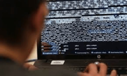 French govt &lsquo;weathered 48-hour cyber attack&rsquo;