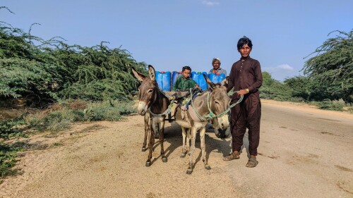 Gorano reservoir: Jeopardy for humans or sanctuary for wildlife?