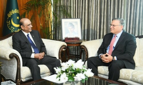 In meeting with President Zardari, US Ambassador Blome reassures continued support of Pakistan in fighting terrorism