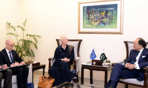 Key allies assure govt of support to shore up economy