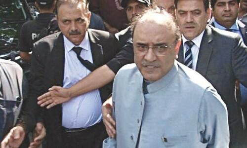 Zardari pleads presidential immunity in two NAB cases