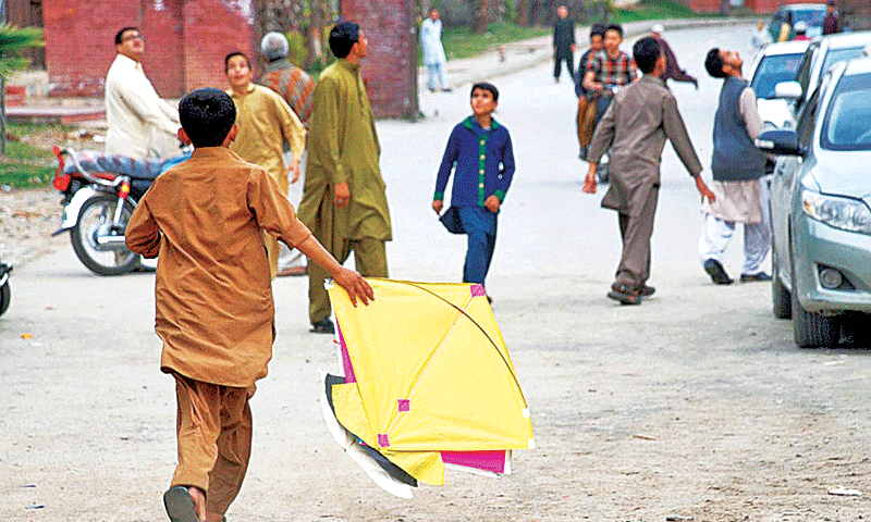 CM Maryam orders province-wide crackdown on kite flying CM Maryam orders province-wide crackdown on kite flying