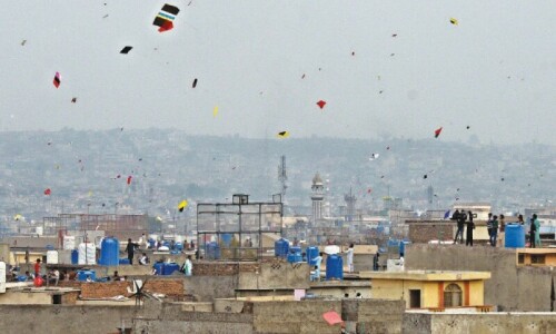 Punjab police swoop on kite flyers after fatal incidents Punjab police swoop on kite flyers after fatal incidents