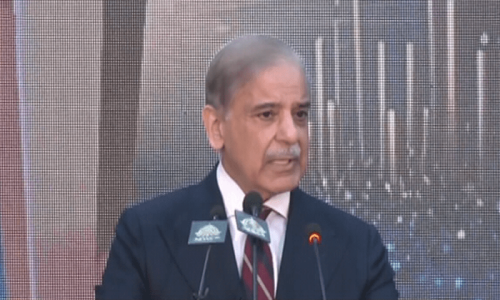 IMF programme no excuse to retard growth: PM Shehbaz