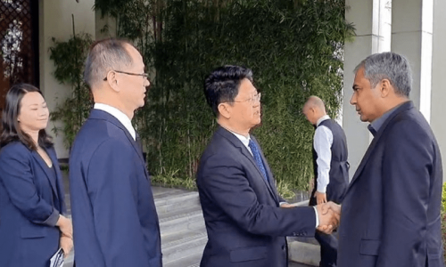 China joins probe into Bisham suicide attack on its nationals China joins probe into Bisham suicide attack on its nationals