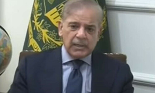 PM Shehbaz gives 5-year economic roadmap to federal cabinet PM Shehbaz gives 5-year economic roadmap to federal cabinet