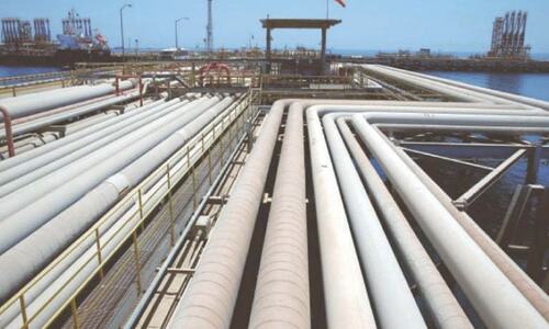 Urea makers plan $300m investment to ensure gas