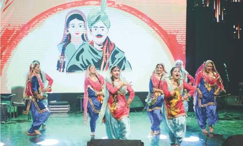 It&rsquo;s sad Punjabis don&rsquo;t take pride in their language: CM Maryam