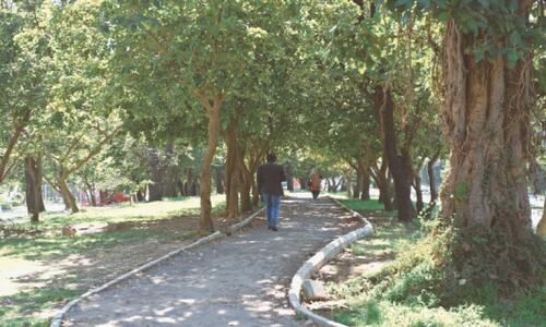 Work on bicycle lane project launched