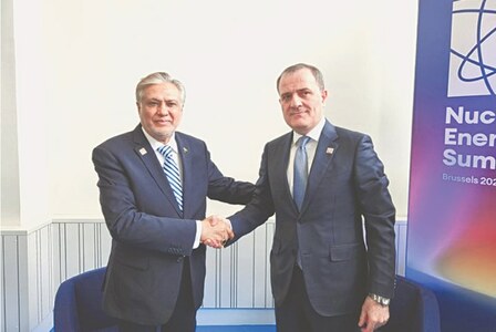 Pakistan seeks global support for nuclear energy projects