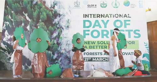 Forests termed crucial for mitigating impact of climate change Forests termed crucial for mitigating impact of climate change