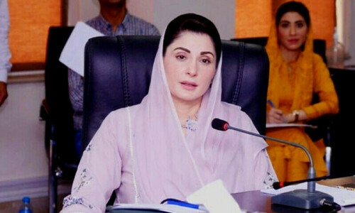 سینیٹ الیکشن: پیپلزپارٹی کا پنجاب میں مسلم لیگ (ن) کی حمایت کا اعلان