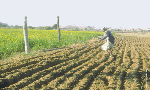 Country facing 30pc water shortage for sowing season: Irsa