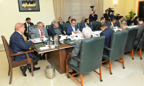 PM Shehbaz pushes for sell-off, outsourcing of Discos