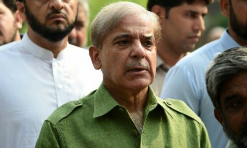 Pak-China economic, cultural ties rapidly growing due to CPEC: PM Shehbaz Pak-China economic, cultural ties rapidly growing due to CPEC: PM Shehbaz