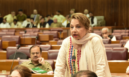 MQM wants Centre to help curb street crimes in Karachi MQM wants Centre to help curb street crimes in Karachi
