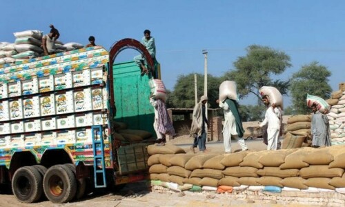 Passco officials face criminal cases for gunny bag fraud in Muzaffargarh, Bahawalnagar