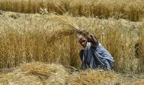 PTI slams use of force against protesting farmers