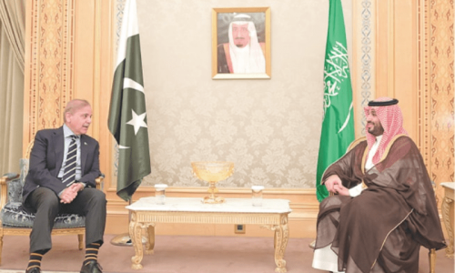 Saudi Arabia eyes cooperation in agriculture sector