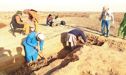 First phase of Ganweriwala excavation concludes