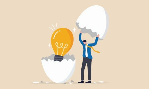 Reforming electricity distribution companies