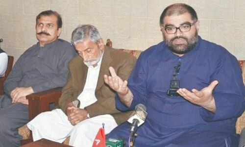 Institutions should stick to constitutional role: Aimal