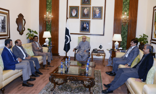 MQM-P assures Zardari of &lsquo;full cooperation&rsquo; in addressing Karachi&rsquo;s law and order challenges