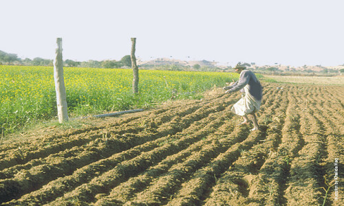 WWF launches initiative to revolutionise farming