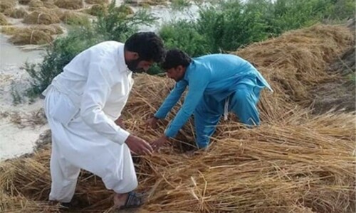 Fake fertilisers, pesticides scam: Cases against 29 dealers as wheat crop on 2,173 acres ruined in Narowal Fake fertilisers, pesticides scam: Cases against 29 dealers as wheat crop on 2,173 acres ruined in Narowal
