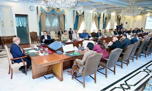PM Shehbaz orders formation of Pakistan Skill Company to train overseas Pakistanis PM Shehbaz orders formation of Pakistan Skill Company to train overseas Pakistanis