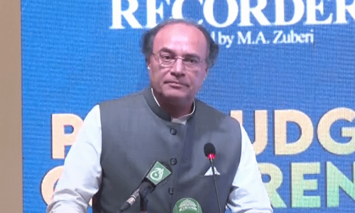 No such thing as strategic state-owned enterprises, says Finance Minister Aurangzeb