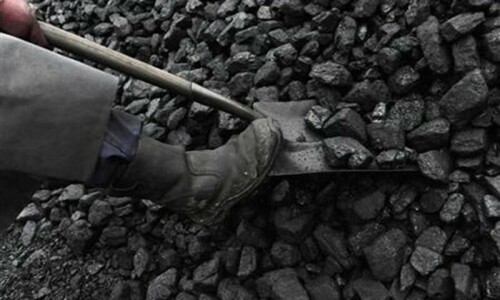 Questions arise over coal import for power plants Questions arise over coal import for power plants
