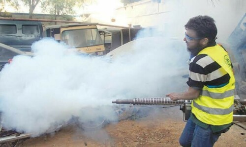 No dengue case recorded as KP govt approves new action plan