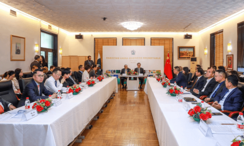 Chinese urged to set up labour intensive industry in Pakistan