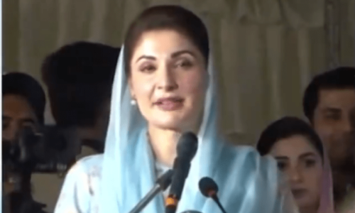 Govt averted massive corruption by not procuring wheat: CM Maryam