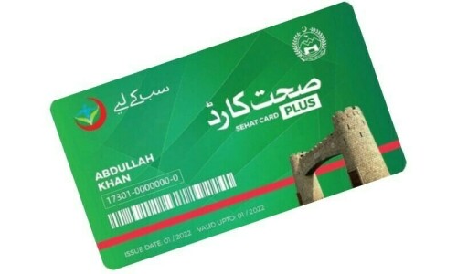 33pc health card holders paid from own pockets: report
