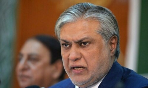 Trade with India suspended due to heavy duties, says Dar
