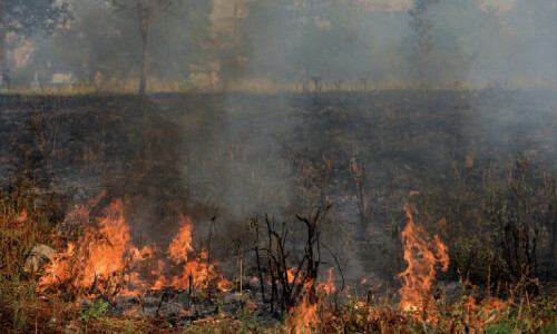 Margalla Hills blaze blamed on ‘sizzling heat’ Margalla Hills blaze blamed on ‘sizzling heat’
