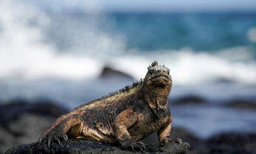In Darwin&rsquo;s footsteps: scientists recreate historic 1830s expedition