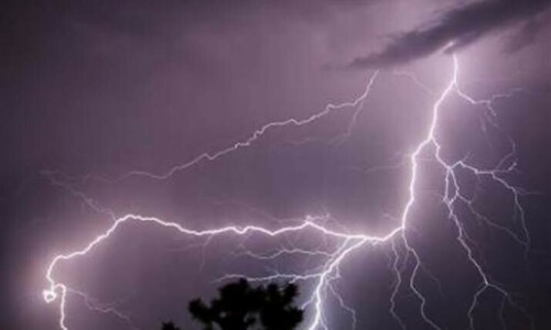 Lightning kills six in Punjab districts Lightning kills six in Punjab districts