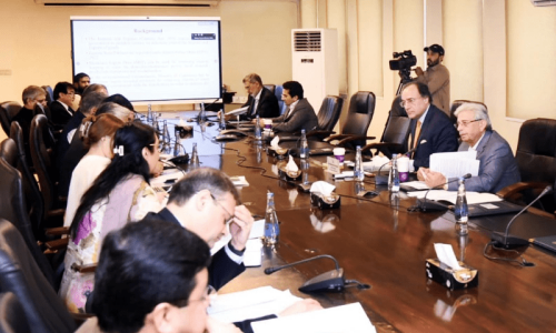 Economic Coordination Committee orders cheaper gas to two Punjab fertiliser units