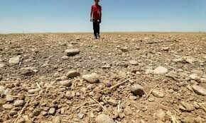26 extra days of extreme heat in a year due to climate change: report